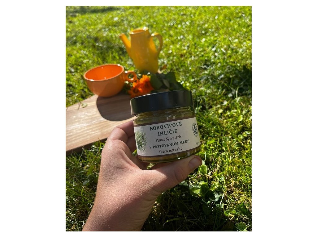 pastovaný med s borovicovým ihličím