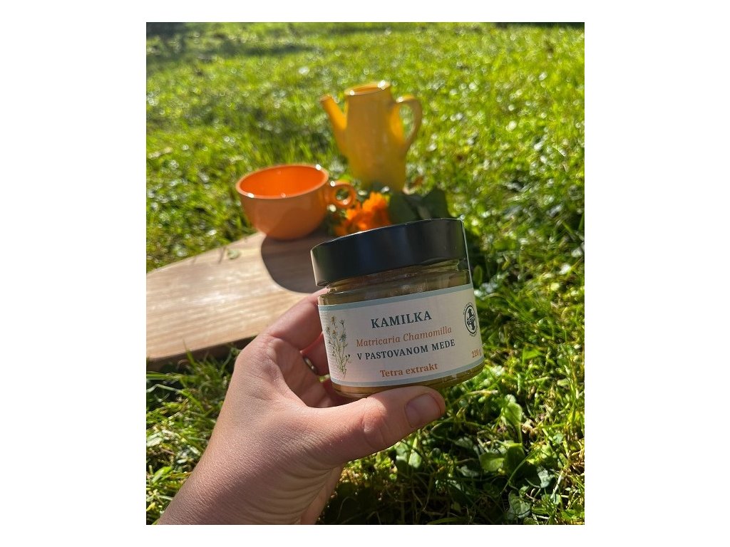 Pastovaný med s rumančekom